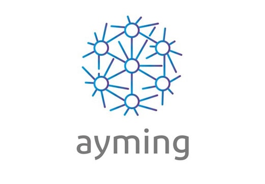 Ayming, Partner Projectland